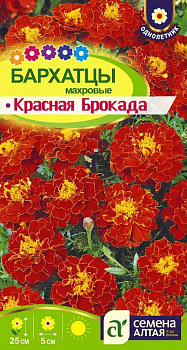 Цветы Бархатцы Красная Брокада махровые/Сем Алт/цп 0,3 гр.