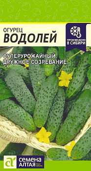 Огурец Водолей/Сем Алт/цп 0,3 гр.р