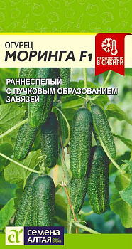 Огурец Моринга F1/Сем Алт/цп 0,3 гр.