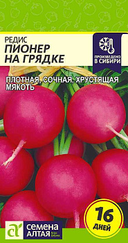 Редис Пионер на Грядке (16 дней)/Сем Алт/цп 2 гр.