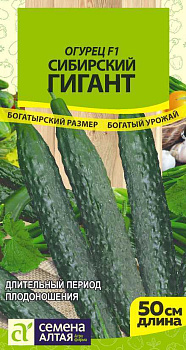 Огурец Сибирский Гигант F1/Сем Алт/цп 10 шт. СЕРИЯ СИБИРСКИЕ ГИГАНТЫ! 