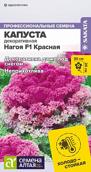 Цветы Капуста Нагойя F1 Красная декоративная/Сем Алт/цп 10 шт.