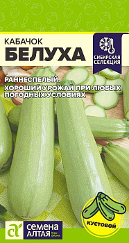 Кабачок Белуха/Сем Алт/цп 2 гр.р Сибирская Селекция!