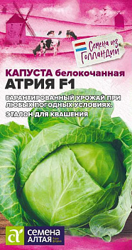 Капуста Атрия F1/Сем Алт/цп 12 шт.р Seminis (Голландские Семена)