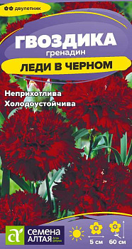 Цветы Гвоздика гренадин Леди в черном/Сем Алт/цп 0,05 гр. двулетник