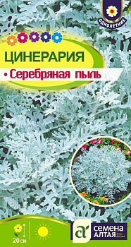 Цветы Цинерария Серебряная Пыль/Сем Алт/цп 0,1 гр.