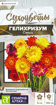 Цветы Гелихризум Махровый Смесь/Сем Алт/цп 0,1 гр. Сухоцветы