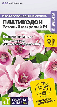 Цветы Платикодон Розовый Махровый/Сем Алт/цп 5 шт. многолетник