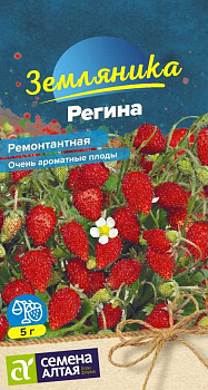 Ягода Земляника Регина ремонтантная/Сем Алт/цп 0,04 гр.