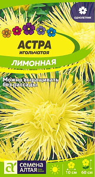 Цветы Астра Игольчатая Лимонная/Сем Алт/цп 0,3 гр.