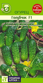 Огурец Голубчик/Сем Алт/цп 10  шт.