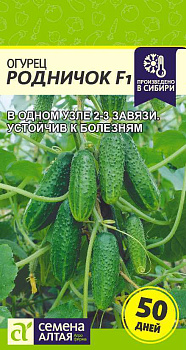 Огурец Родничок F1/Сем Алт/цп 0,3 гр.р