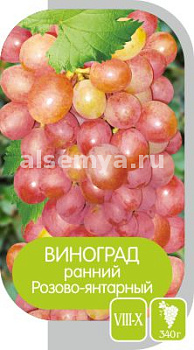 Виноград Розово-Янтарный