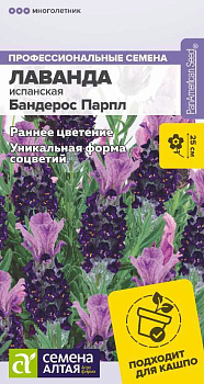 Цветы Лаванда Бандерос Парпл испанская/Сем Алт/цп 5 шт. многолетник НОВИНКА