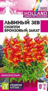 Цветы Львиный зев Снэппи Бронзовый закат/Сем Алт/цп 10 шт Голландия НОВИНКА