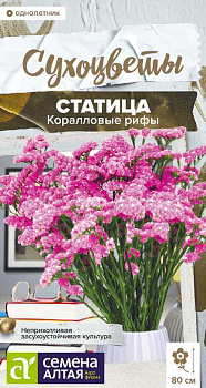 Цветы Статица Коралловые рифы/Сем Алт/цп 0,05 гр. Сухоцветы