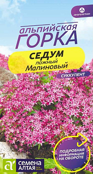 Цветы Седум Малиновый/Сем Алт/цп 0,01гр. многолетник Альпийская горка