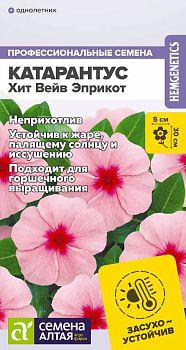 Цветы Катарантус Хит Вейв Эприкот/Сем Алт/цп 7 шт.