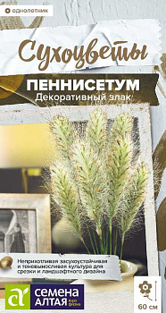 Цветы Пеннисетум мохнатый злак декоративный/Сем Алт/цп 5 шт.  Сухоцветы НОВИНКА