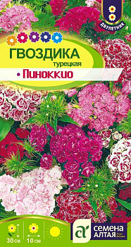 Цветы Гвоздика турецкая Пиноккио/Сем Алт/цп 0,2 гр. двулетник