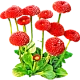 Маргаритка