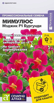 Цветы Мимулюс Мэджик F1 Бургунди/Сем Алт/цп 7 шт.