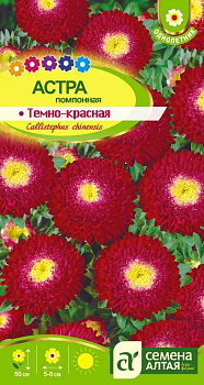 Цветы Астра Помпонная Темно-красная/Сем Алт/цп 0,2 гр.