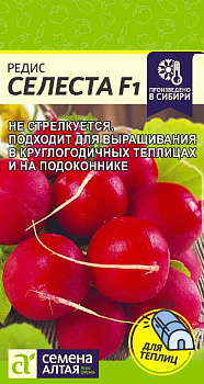 Редис Селеста/Сем Алт/цп 1 гр. 