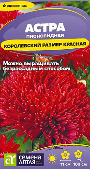 Цветы Астра Королевский размер Красная/Сем Алт/цп 0,2 гр.