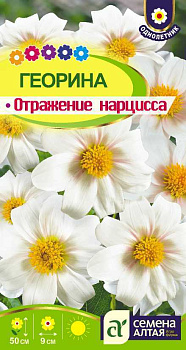 Цветы Георгина Отражение Нарцисса/Сем Алт/цп 0,2 гр.