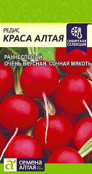 Редис Краса Алтая/Сем Алт/цп 1 гр. Сибирская Селекция!