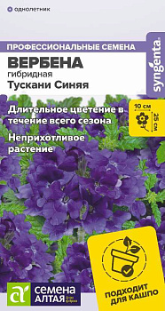 Цветы Вербена Тускани гибридная Синяя/Сем Алт/цп 4 шт. НОВИНКА