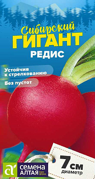 Редис Сибирский Гигант/Сем Алт/цп 2 гр. СЕРИЯ СИБИРСКИЕ ГИГАНТЫ!
