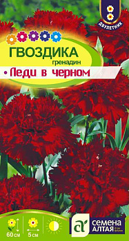 Цветы Гвоздика гренадин Леди в черном/Сем Алт/цп 0,1 гр. двулетник
