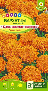 Цветы Бархатцы Купид Золотисто-Оранжевые/Сем Алт/цп 0,3 гр.
