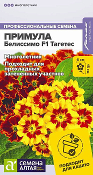 Цветы Примула Белиссимо F1 Тагетес/Сем Алт/цп 5 шт. многолетник 