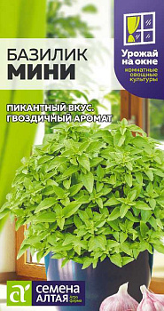 Зелень Базилик Мини/Сем Алт/цп 0,1 гр. УРОЖАЙ НА ОКНЕ!