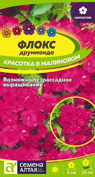 Цветы Флокс Красотка в малиновом Друммонда/Сем Алт/цп 0,1 гр.