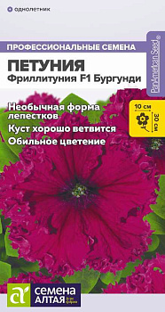 Цветы Фриллитуния F1 Бургунди/Сем Алт/цп 5 шт.