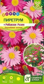 Цветы Пиретрум Робинзон Ризен/Сем Алт/цп 0,2 гр. многолетник