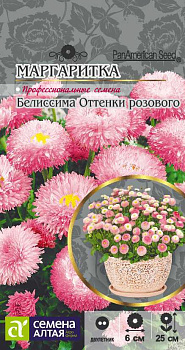 Цветы Маргаритка Белиссима Оттенки Розового/Сем Алт/цп 8 шт. 