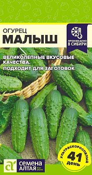 Огурец Малыш/Сем Алт/цп 0,3 гр.р