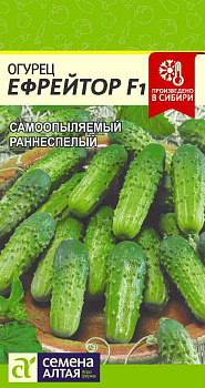 Огурец Ефрейтор F1/Сем Алт/цп 5 шт.