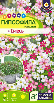 Цветы Гипсофила Изящная Смесь/Сем Алт/цп 0,3 гр.