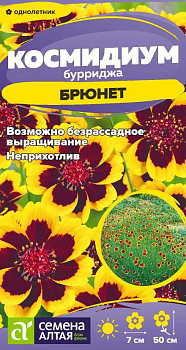 Цветы Космидиум Брюнет/Сем Алт/цп 0,01 гр.