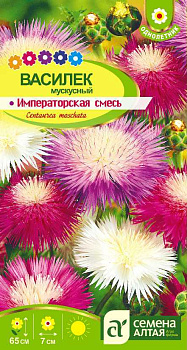 Цветы Василек Императорская Смесь мускусный/Сем Алт/цп 0,3 гр.