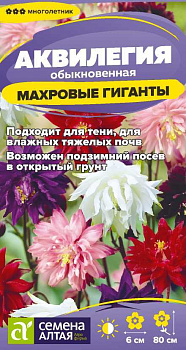 Цветы Аквилегия Махровые Гиганты Смесь/Сем Алт/цп 0,05 гр. многолетник