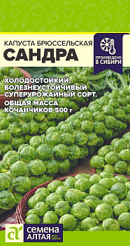 Капуста Брюссельская Сандра/Сем Алт/цп  0,5 гр.