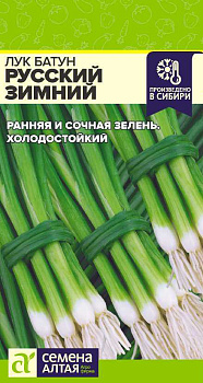 Лук Батун Русский Зимний/Сем Алт/цп 0,5 гр.