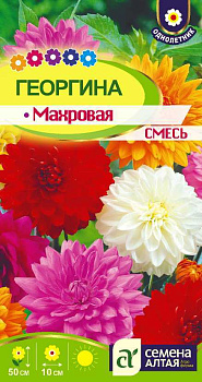 Цветы Георгина Махровая смесь окрасок/Сем Алт/цп 0,2 гр.